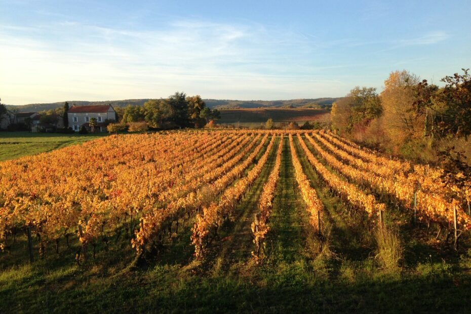 martin-kelly--Gbq8ZvQrdc-unsplash