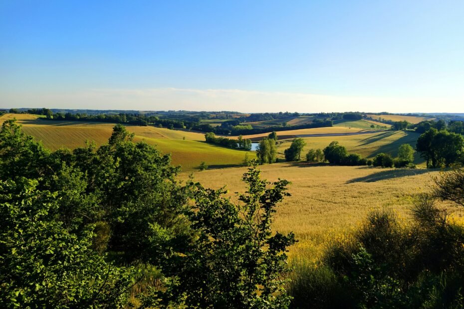 ze-fisch-C5rwJN7NQ1c-unsplash